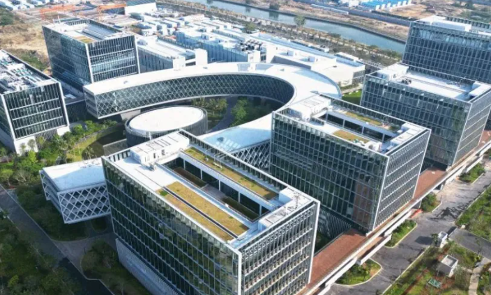 家庭盆栽种养指南：常见室内绿植浇水施肥误区与病虫害防治要点