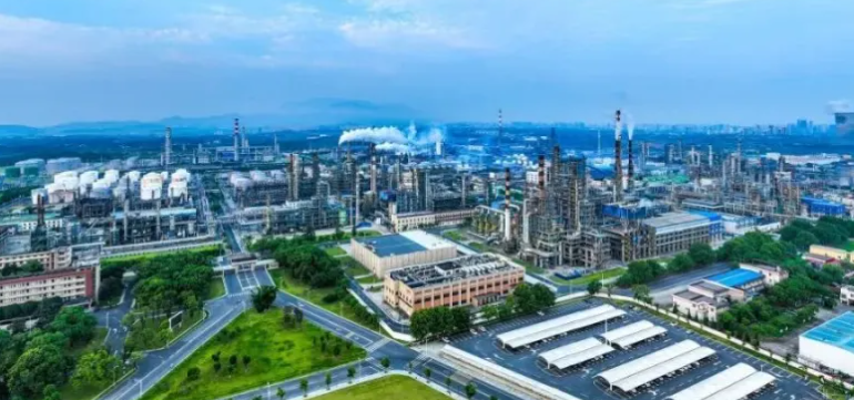 2025年家庭绿植品种查询指南：查植物网收录名录更新亮点解析